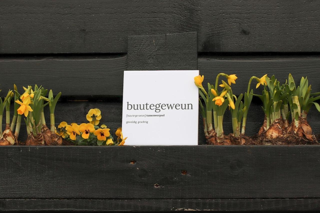 B&B Buutegeweun Sommelsdijk Екстер'єр фото